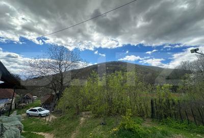 Casă cu 4 camere cu Teren 12186 Mp în Boiu - 6