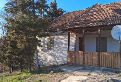 Casă cu 2 camere cu Teren 1700 Mp în Săbed - 5