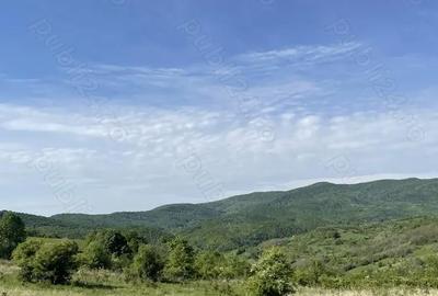 Teren în Central - 6