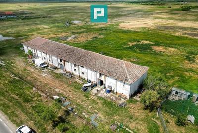 Hală industrială cu teren generos în Zărand, Arad - 13