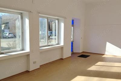 Spațiu comercial, de 45 mp, în Periam - 5