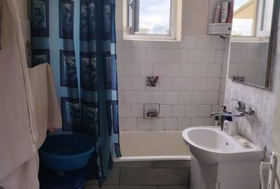 Apartament cu 3 camere decomandat în Brazda lui Novac - 8