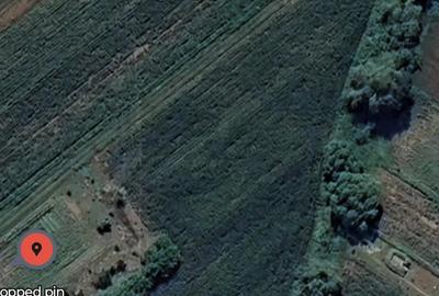 Teren de 1523 mp, în Vultureni