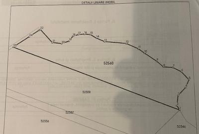 Teren agricol extravilan de 23700 mp, în Nadeș - 6