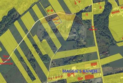 Teren agricol extravilan de 2200 mp, în Glăjărie - 5