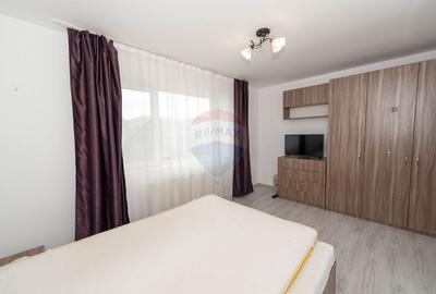 Apartament cu 2 camere decomandat, mobilat în Ozana - 13