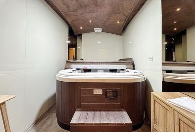 Penthouse generos cu priveliste spre Masivul Postavarul - 19