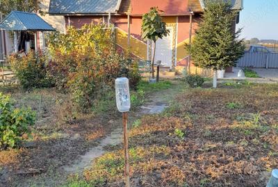 Teren de 1050 mp, în Șivița - 3