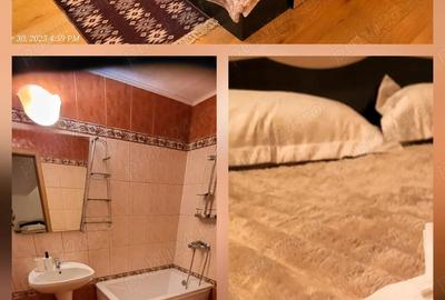 Cabana La Breazu Trambulina & Biliard | 2 Dormitoare cu baie proprie - 4