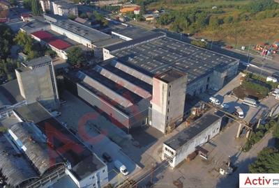 HALA INDUSTRIALA DE VANZARE GIURGIULUI - JILAVA - 3