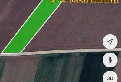 OPORTUNITATE INVESTITIE DASCALU, CREATA, LANGA NATURA RESIDENCE - 2