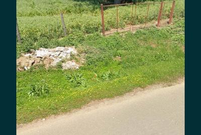 Teren de 4464 mp, în Curcani