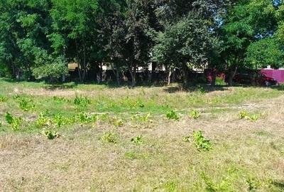 Teren de 7100 mp, în Girov - 6