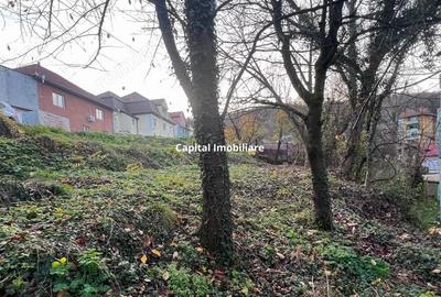 Teren intravilan 1001 mp in Re?i?a, aproape de centru - 3
