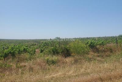 50 Ha comasat 100%, judetul Constanța - 3