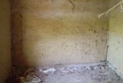 Casă cu Teren 1800 Mp în Cilibia - 3