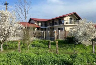 Casă cu 7 camere cu Teren 16000 Mp în Ciorani - 12
