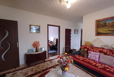 Casa 3 Camere, beci, magazie, mansarda – 500 mp Teren - 5