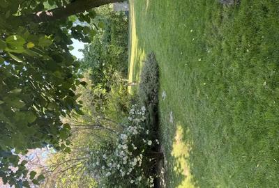 Vand proprietate deosebita in Bragadiru-Prelungirea Ghencea. - 2