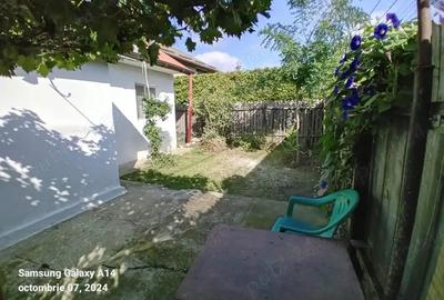 Schimb casa cu 2 camere, 300 mp curte - 8