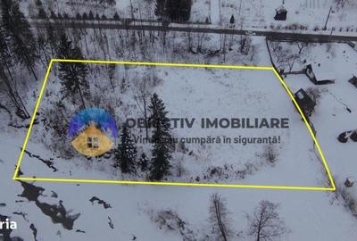 Spațiu comercial, în Tarcău - 1