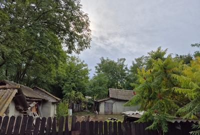 Casă cu teren 3.682 mp, sat Radu Vodă (com. Lupsanu, jud. Călărași) - 6