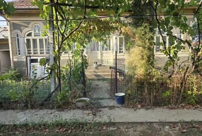 Casa noua + casa veche boiereasca renovabila - 6