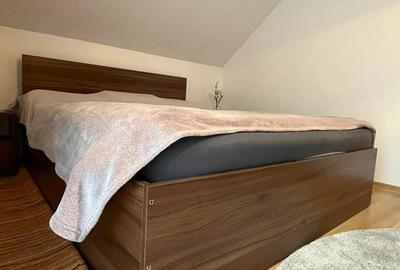 Casă cu 4 camere cu Teren 1200 Mp în Săldăbagiu de Munte - 9