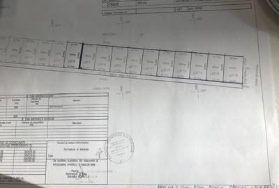 Terenuri Peris - loturi de 800 mp +130mp drum acces - 6