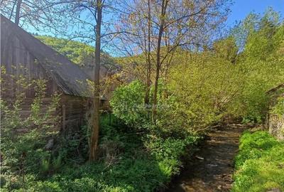 Sura cu teren ingradit cu toate utilitatile de - 3