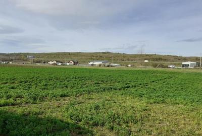 Teren intravilan 900mp Luna de Sus - 2