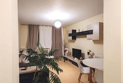 Apartament cu 3 camere în Craiovița Nouă - 4