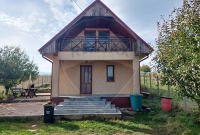 Proprietate deosebita cu potential turistic, Sarata Bacau - 6