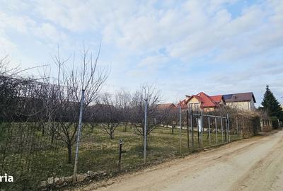 Teren de 1000 mp, în Gruiu - 4