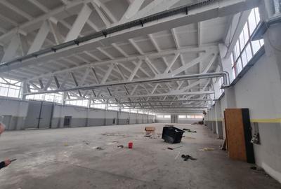 Închiriere Hală / Spațiu pentru Depozitare sau Producție – Zona Industrială Est, - 2