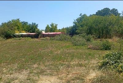 Vând sau schimb cu auto Teren intravilan Reviga Ialomița 1222mp - 2