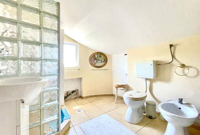 Apartament cu 6 camere semidecomandat, mobilat în Mehala - 8