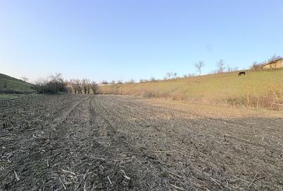 Casă cu 4 camere cu Teren 6294 Mp în Cerbu - 4