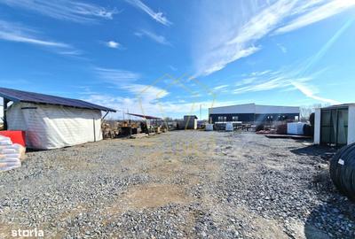 Spațiu comercial, de 1,000 mp, în Moșnița Nouă - 3