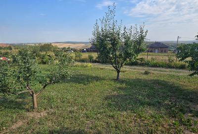 Teren cu cabanuta de lemn in Zaicesti - 8