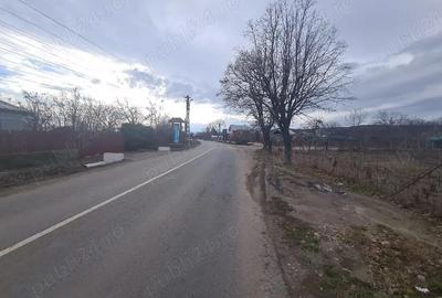 Teren de 2200 mp, în Zorești - 3