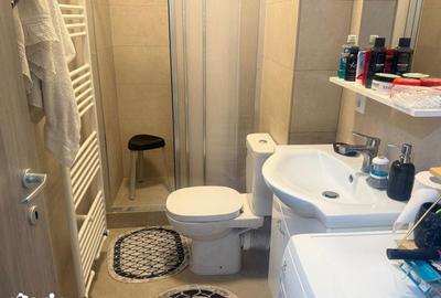 Apartament cu 3 camere decomandat în Ulmi - 13