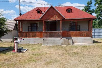 Casă cu 2 camere în Ionești - 10