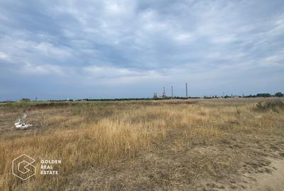 Teren Construcții intravilan de 3708 mp, în Șagului - 2