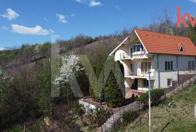 Oaza de Liniste | Casa cu Vedere Panoramica - Leamna, Dolj - 3