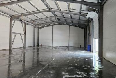 Proprietate specială, 600 mp în Odăi