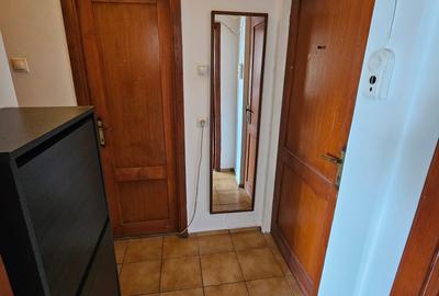 Garsoniera Vitan Mall | Alexander von Humboldt | centrala proprie | bloc mixt - 8