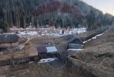 Casă cu 4 camere în Catrinari - 19