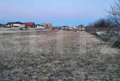 Teren în Torontalului