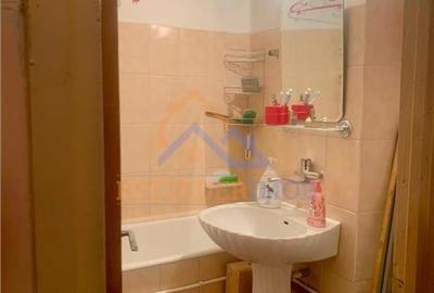Apartament de vanzare cu 2 camere, zona Ozana - 9